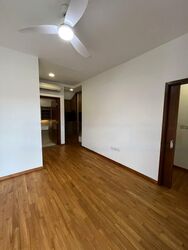 Holland Link (D10), Terrace #472830281